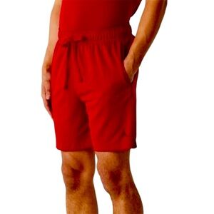 Jordan Sport Men's Dri-FIT Mesh Shorts